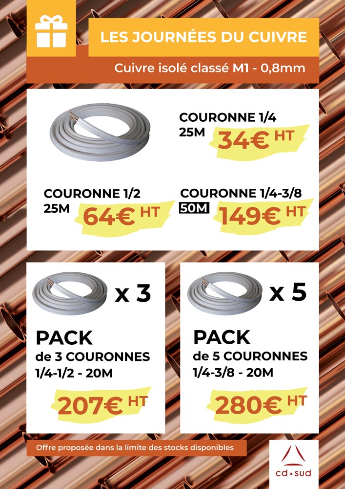 Affiche journée du cuivre CD SUD